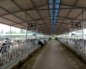 探花在线播放安装现场