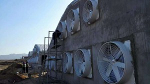 探花在线播放安装现场