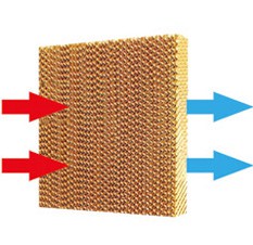 国产AV探花（水帘）